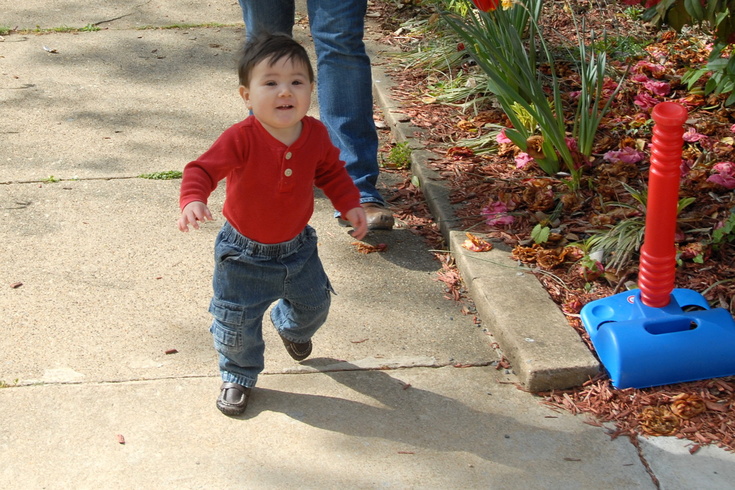 toddling up the walk