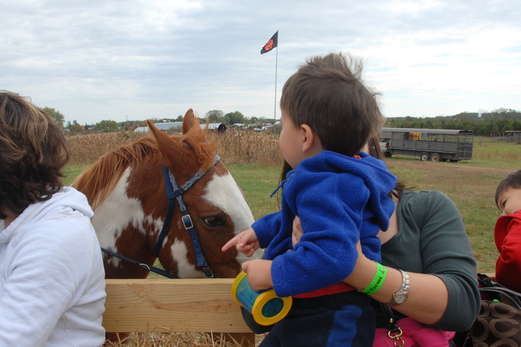horse visits hayride
