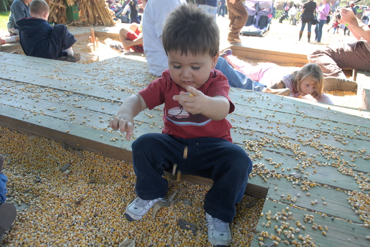 playing with corn