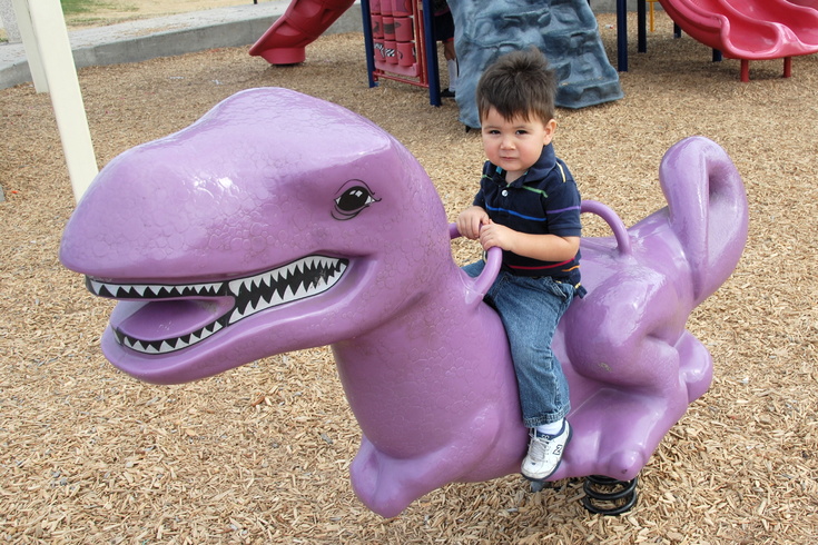 riding the dinosaur