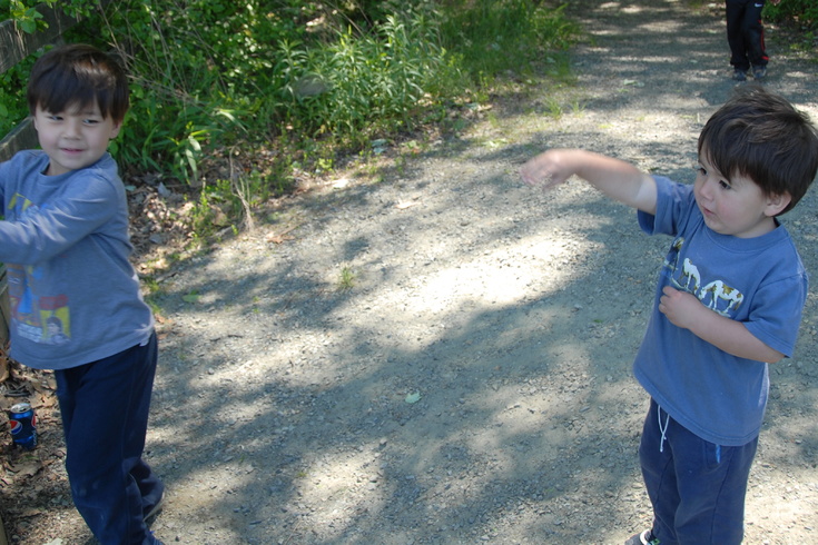 tossing rocks into the pond
