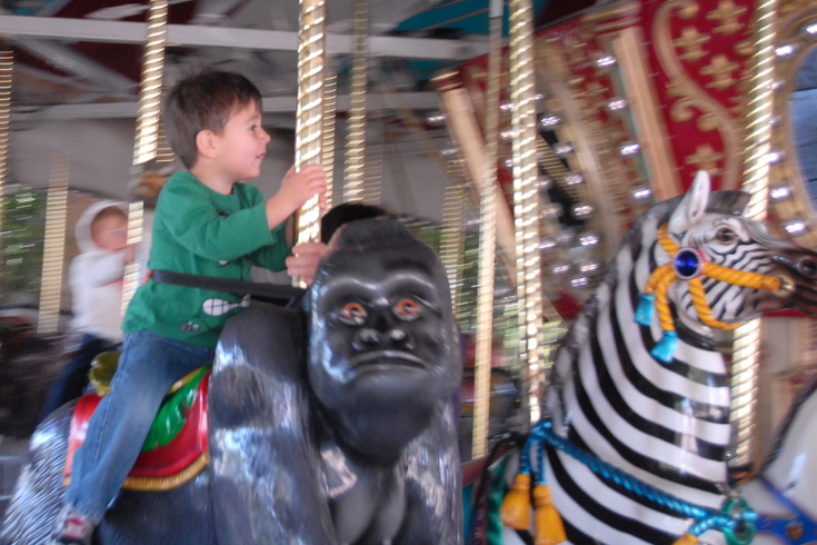 on the carousel