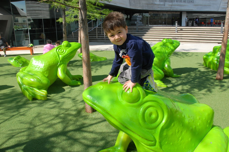 atop the Perot museum frogs