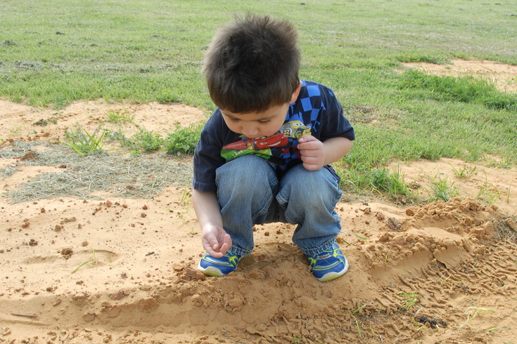 examining the sand