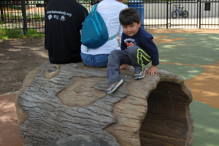 playground log