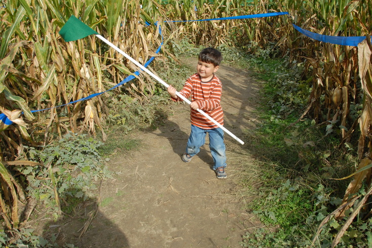 Peter in the corn maze