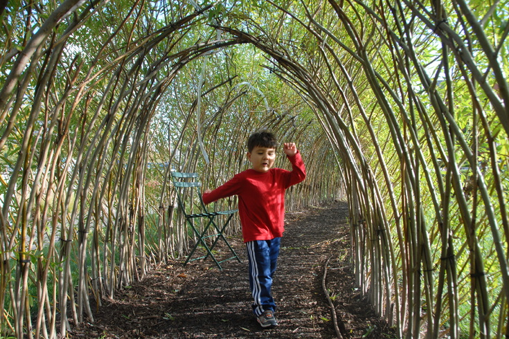 willow tunnel