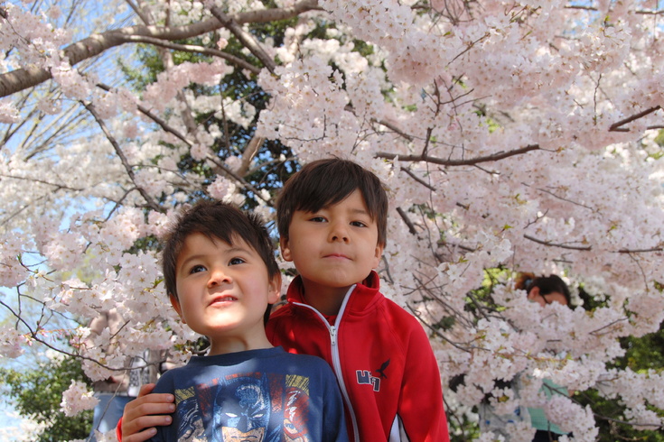 brothers and blossoms