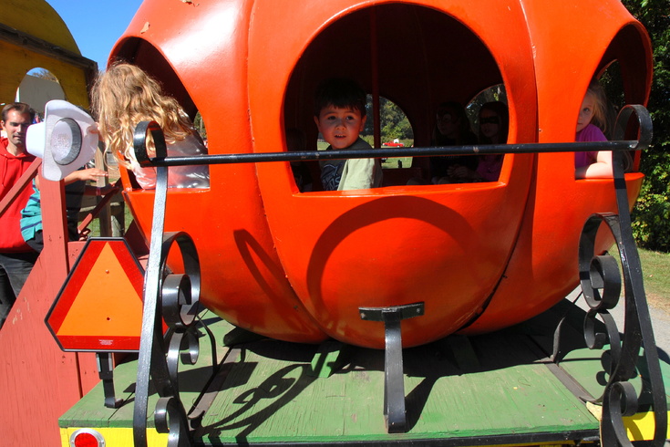 pumpkin carriage ride