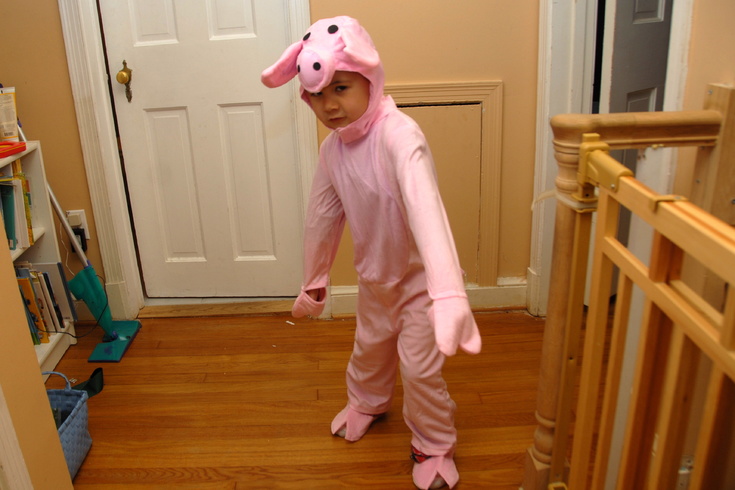 trying on the pig costume
