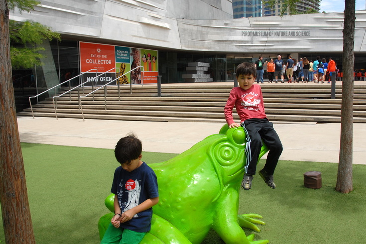 Perot Museum