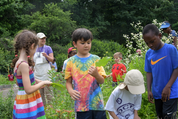 Childrens' garden field trip
