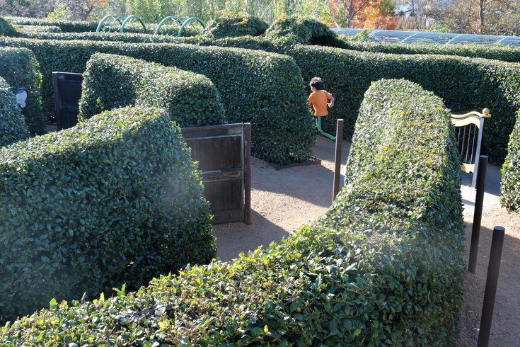 running in the garden maze