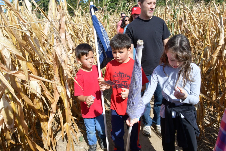 figuring out the corn maze