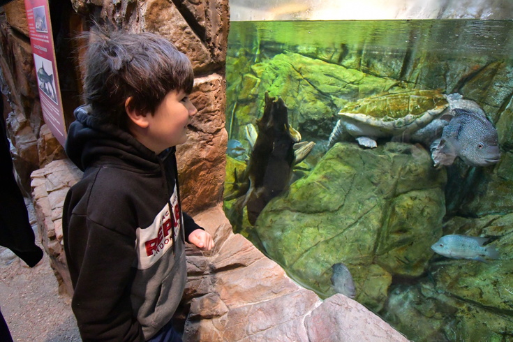 at the Denver aquarium