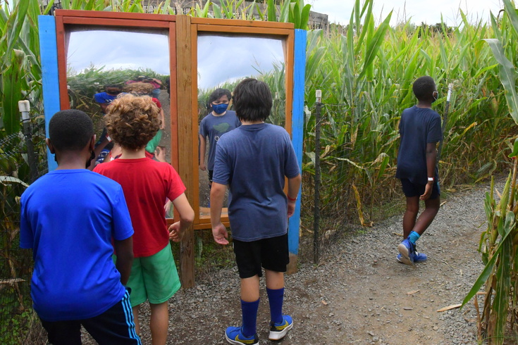 Funhouse mirror in the corn