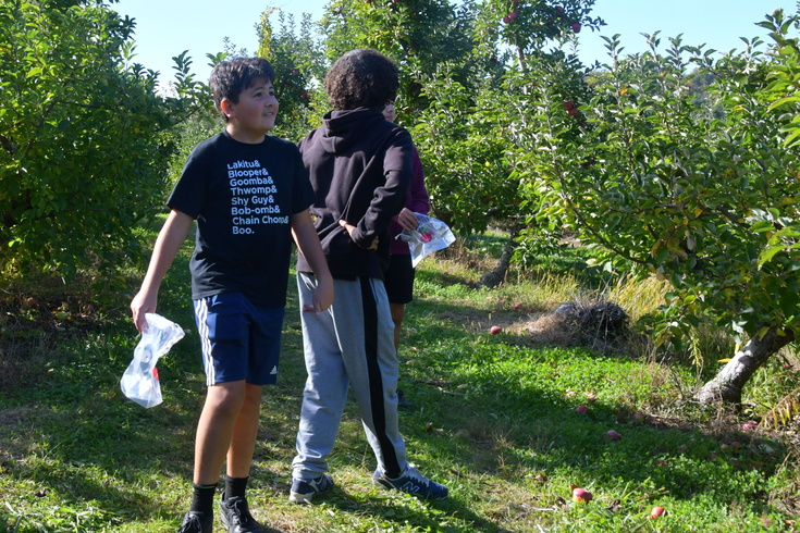 Looking at the orchard