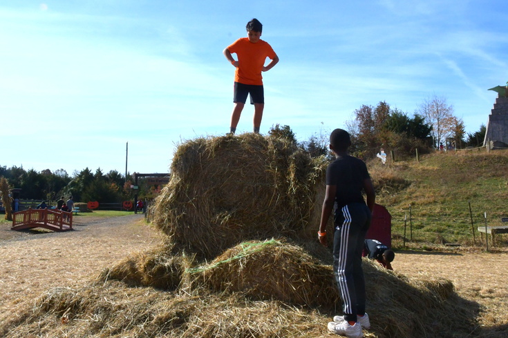 standing on the hay bale
