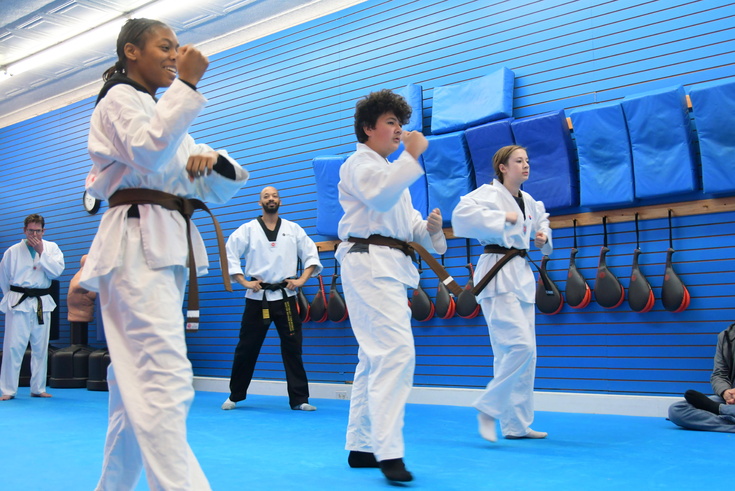 Taekwondo moves